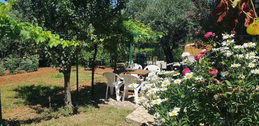 Appartamenti Clara Poreč Kültér fotó